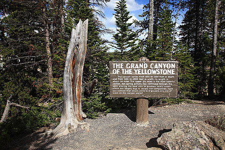 黄宝石国家公园标志指示牌岩石景点树桩国家公园晴天乡村峡谷图片