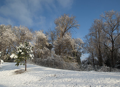 冬季山白色季节天气图片