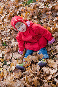金色的秋天红色叶子公园女孩季节孩子背景图片