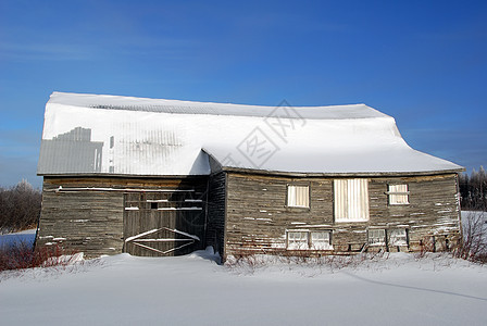 被遗弃的仓库乡村场景废墟白色国家树木建筑木头风化建筑学图片