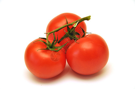 番茄白色食物红色养分蔬菜团体图片