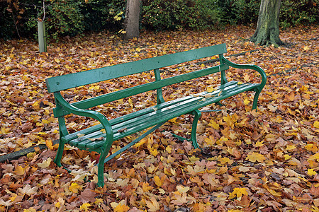 秋天的公园长凳橙子黄色季节树叶棕色植物学国家森林金子长椅图片