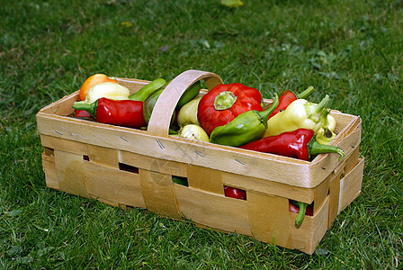 A篮子里的胡椒生产花园绿色饮食黄色市场食物蔬菜烹饪红色图片