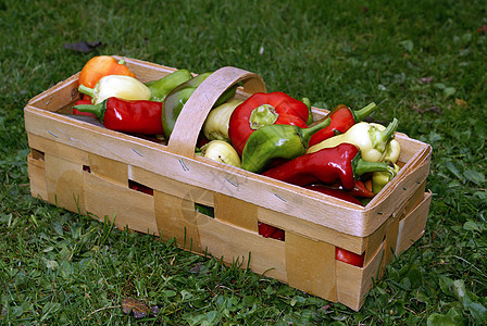 A篮子里的胡椒黄色花园绿色食物红色市场生产饮食沙拉蔬菜图片