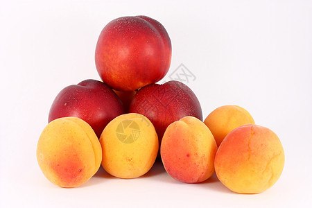 杏和谷类季节水果食物饮食果汁甜点素食主义者植物图片
