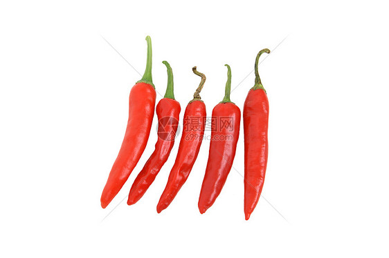 白色背景的5个红辣椒图片