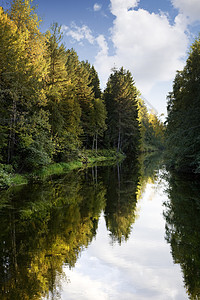 秋森林叶子天气环境溪流树木沼泽反射风景木头植物群图片
