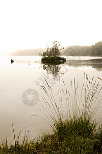 湖雾木头环境农村叶子魔法戏剧性国家孤独公园精神图片