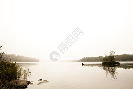 宁静湖木头公园戏剧性叶子季节孤独森林主义者薄雾极简图片