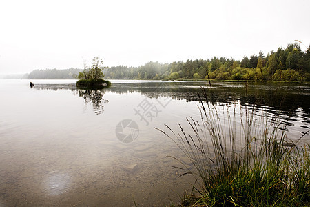 宁静湖森林薄雾魔法农村环境季节国家场景公园图片