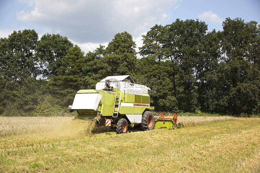 一个绿色的大型联合企业小麦机器自然世界土地地平线自动化草地陆地生长场地图片