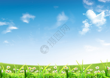 春季字段分支机构花束太阳花园树叶国家森林天空植物花店图片