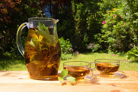 园里的茶杯太阳玻璃绿色园艺生活咖啡店晴天早餐叶子咖啡图片