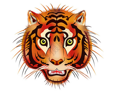 老虎眼睛猫科动物有条纹的高清图片