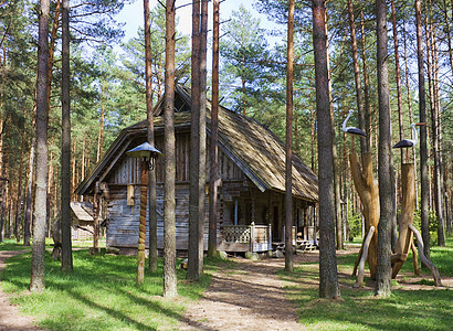 树林里的旧房子谷仓乡村门廊木材日志孤独树木森林公园建筑学图片