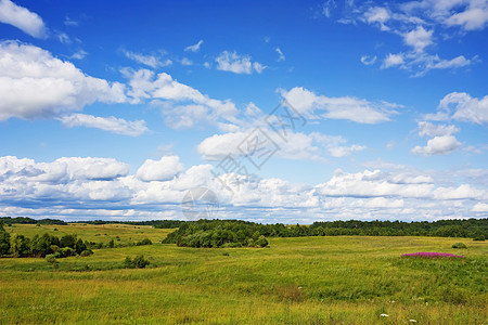 夏季风景气候天空阳光孤独公园牧场森林自由美化蓝色图片