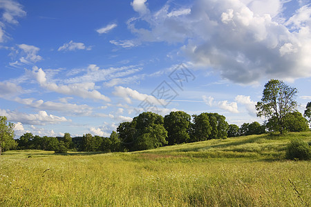 夏季风景农业地平线森林蓝色公园天空农场气候太阳环境图片