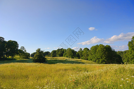 夏季风景土地牧场孤独蓝色阳光爬坡农场场景地平线美化图片