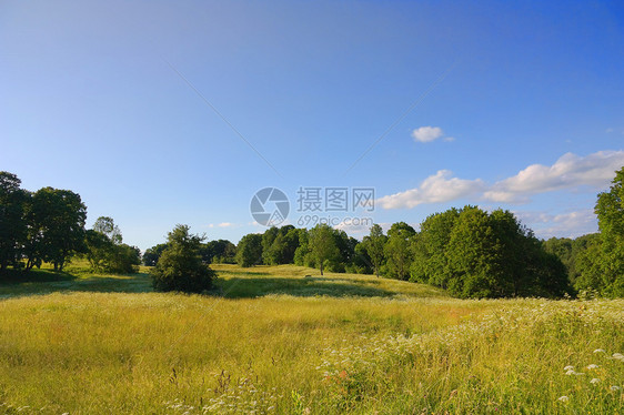 夏季风景土地牧场孤独蓝色阳光爬坡农场场景地平线美化图片