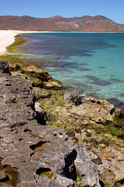 岛屿假期拉丁旅行海滩海岸图片