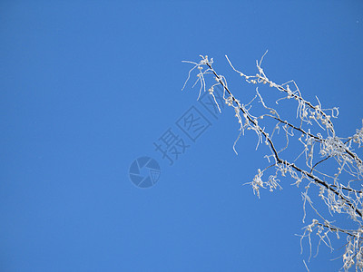 霜冻树薄片冰镇蓝色魔法白色高山天空土地毯子磨砂图片