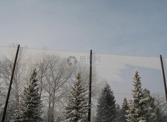 树上满着白雪 在篱笆后面蓝色安全寒冷灰尘魔法松树薄片高山天空磨砂图片