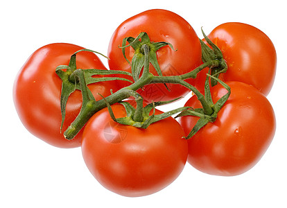 番茄白色红色蔬菜绿色背景图片