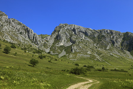 Trascau山脉 罗马尼亚 特兰西瓦尼亚图片