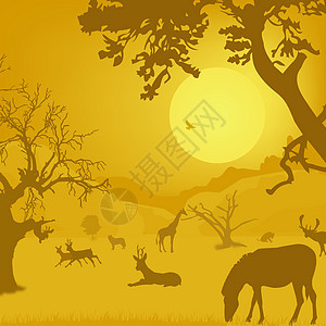 野生生物 动物 树木 太阳图片