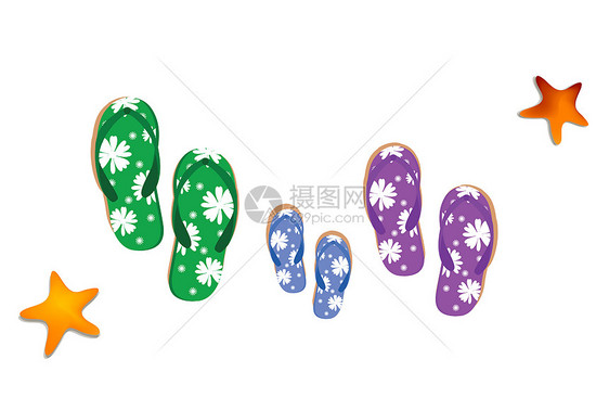 拖鞋和海星的视图 白色背景图片