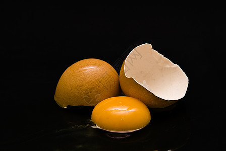 鸡蛋收集损失母鸡食物孵化事故鹌鹑鹧鸪蛋黄家畜图片