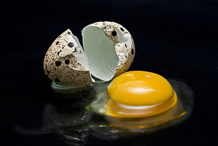 鸡蛋烹饪收集事故鸟类鹌鹑卵形鹧鸪损失孵化贝壳图片
