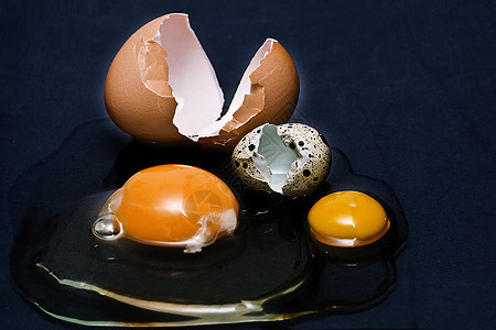 鸡蛋家禽损失鸟类公鸡鹧鸪食物烹饪商业农场事故图片