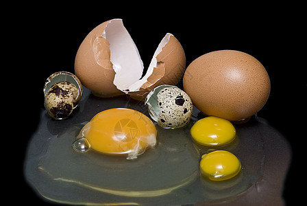 鸡蛋产品母鸡事故公鸡卵形商业鹌鹑食物生产收集背景图片