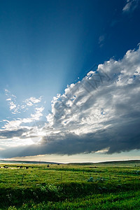 Prairie 天空景观生长牧场风暴场地上帝农场风景草地平原天气图片