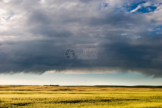 Prairie 天空景观蓝色生长农场场地国家风景绿色地平线天气平原图片