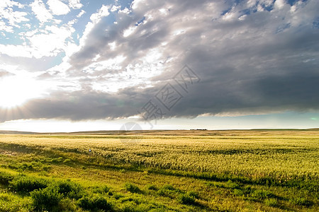 Prairie 天空景观农场地平线平原绿色国家乡村蓝色草原天气风景图片