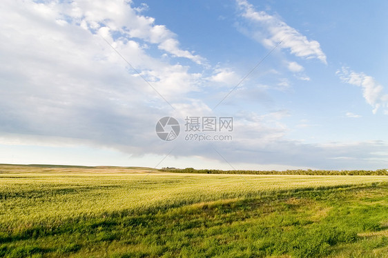 Prairie 天空景观蓝色平原农场风景场地生长天气地平线乡村国家图片