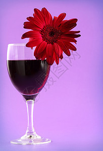 红葡萄酒和梅花红色玫瑰雏菊花瓣白色薰衣草紫色玻璃背景图片