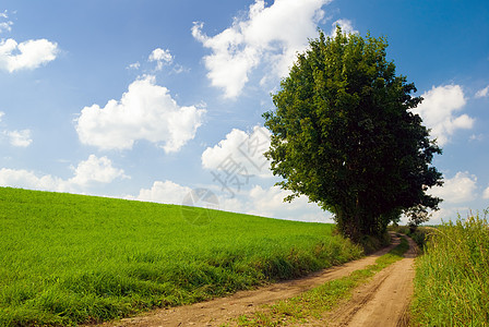 国别观点风景场地地平线农村草地天空小路蓝色树木阳光图片