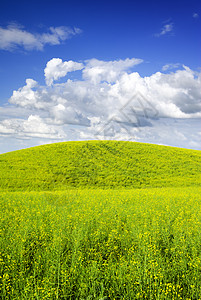 夏季风景活力山坡场地绿色花朵草原天空农场蓝色阳光图片