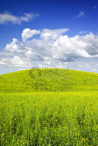 夏季风景活力山坡场地绿色花朵草原天空农场蓝色阳光图片