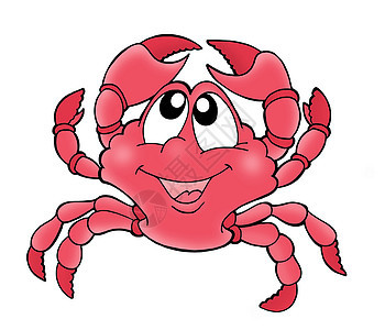 可爱螃蟹眼睛甲壳扣子海洋海滩贝类卡通片插图艺术品绘画图片