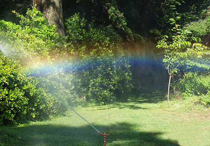 Sprinkler 喷雾器洒水器植物管子光谱草地农场花园淋浴土地水分图片