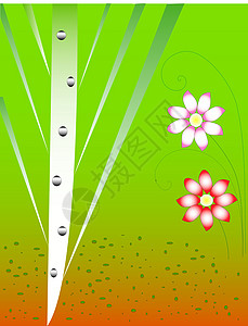 抽象森林先锋队漩涡绿色曲线蝴蝶绘画橙子花园口音叶子图片