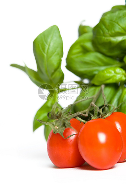 番茄类西红柿红色花盆健康饮食食物香味芳香香草静物植物表演图片
