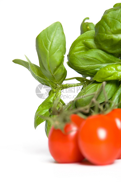 巴锡尔喜欢西红柿香草烹饪美食食物香味文化健康饮食植物香料红色图片