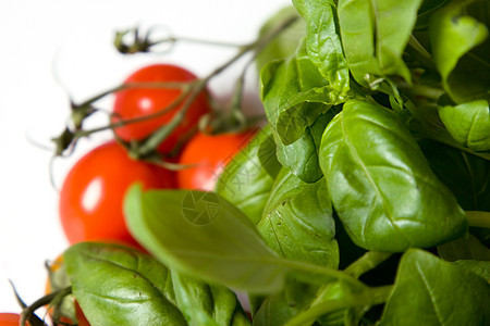 巴锡尔喜欢西红柿文化美食香草蔬菜红色香味香料健康饮食草本植物芳香图片