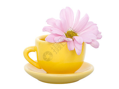 黄茶杯 配有碟子和粉红菊花花瓣草本植物黄色杯子雏菊陶瓷飞碟投标宏观咖啡图片