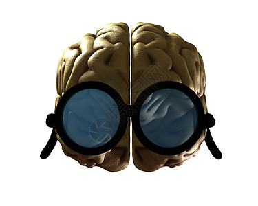 聪明大脑想像力器官卫生脑力光学智力解剖学智商病人概念图片